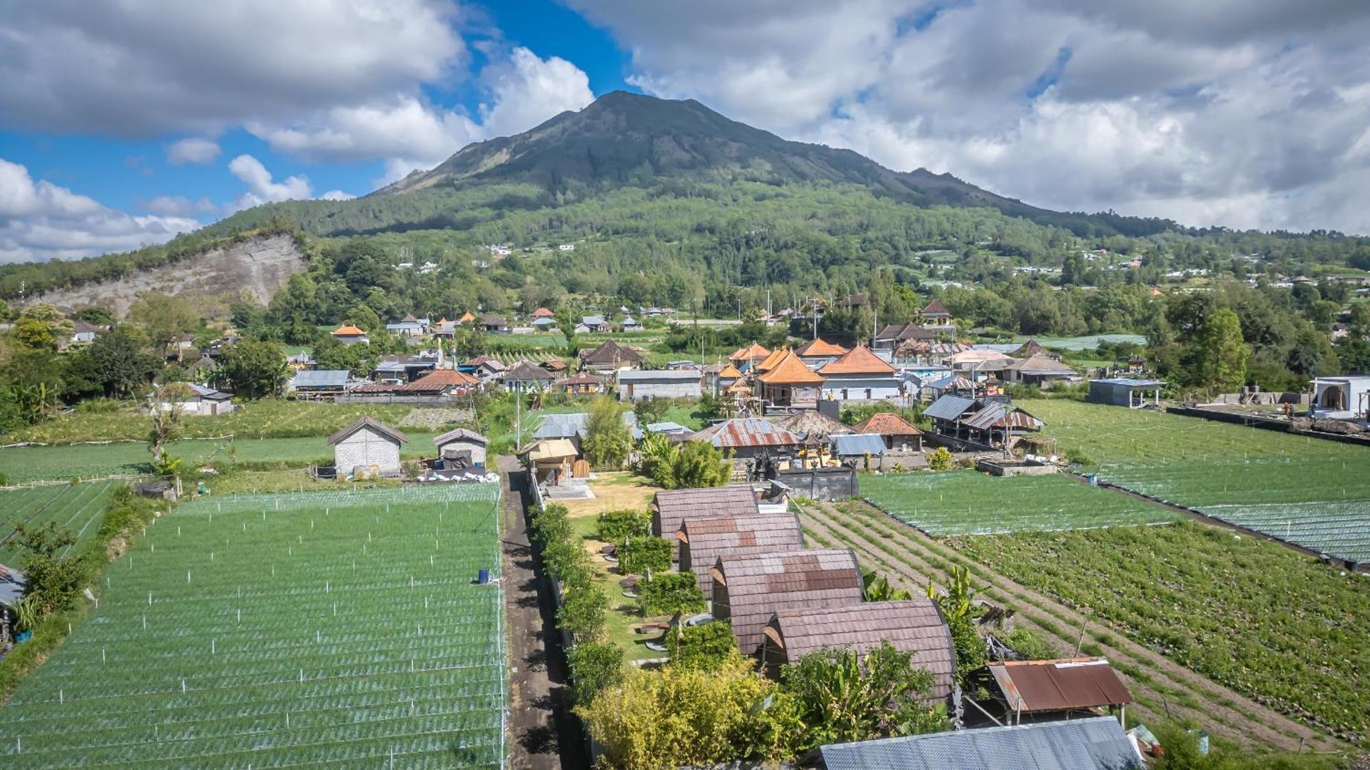 Tegal Bamboo Cottages & Private Hot Spring Baturaja  Exterior foto