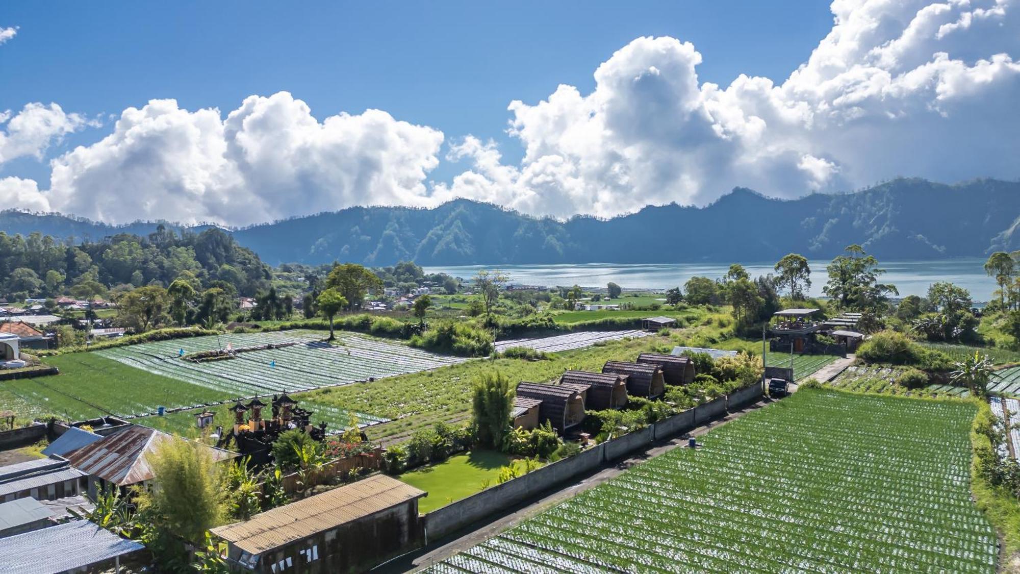 Tegal Bamboo Cottages & Private Hot Spring Baturaja  Exterior foto