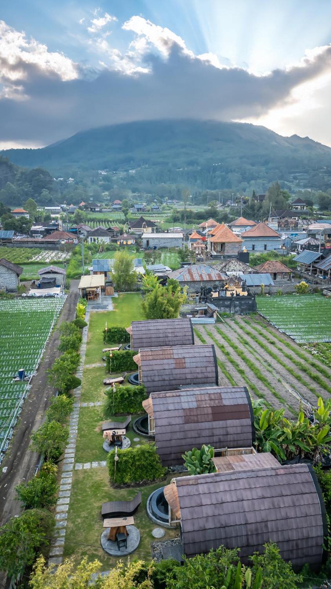 Tegal Bamboo Cottages & Private Hot Spring Baturaja  Exterior foto